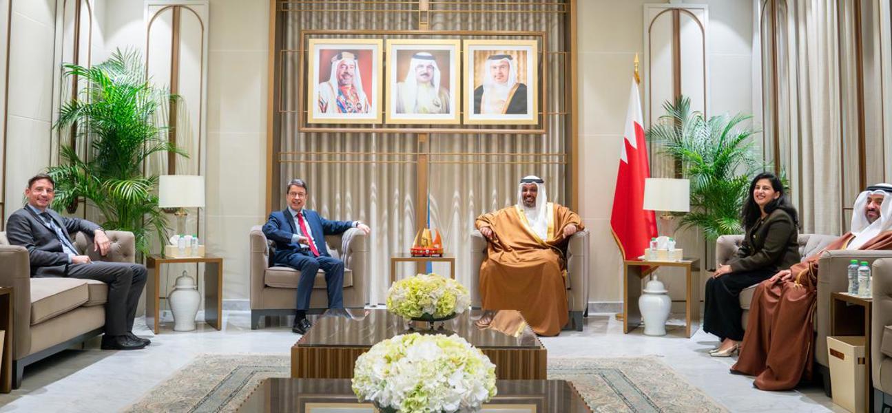 Finance Minister receives German Ambassador